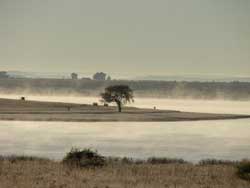 Sunrise Koppies Dam